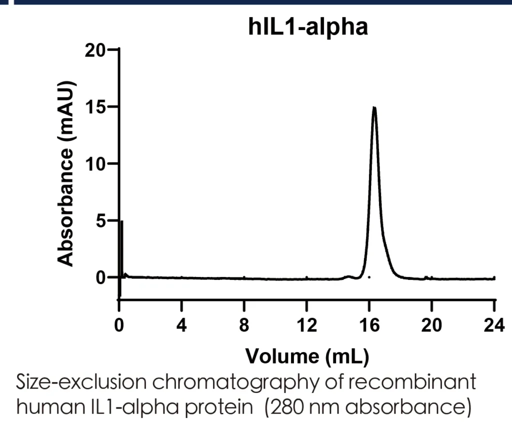 Human IL1a Recombinant Protein (HEK293 Expression) — Tag Free - Image 2