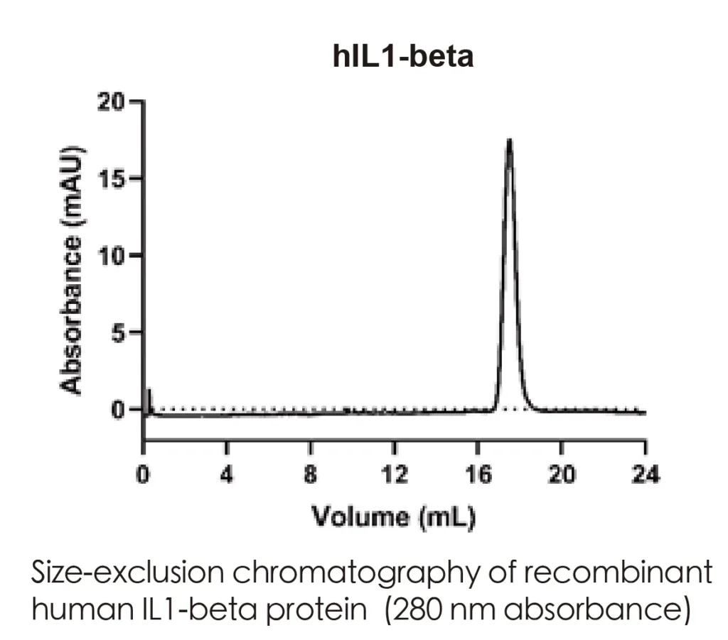 Human IL1b Recombinant Protein (HEK293 Expression) — Tag Free - Image 2