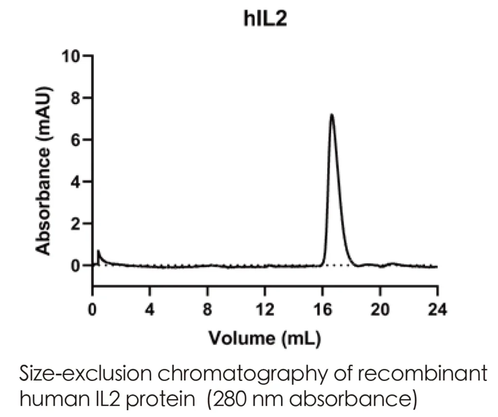 Human IL2 Recombinant Protein (HEK293 Expression) — Tag Free - Image 2