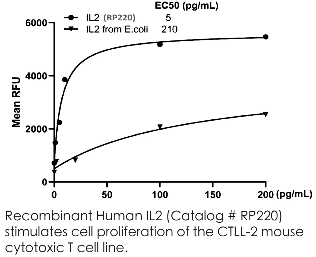 Human IL2 Recombinant Protein (HEK293 Expression) — Tag Free - Image 3