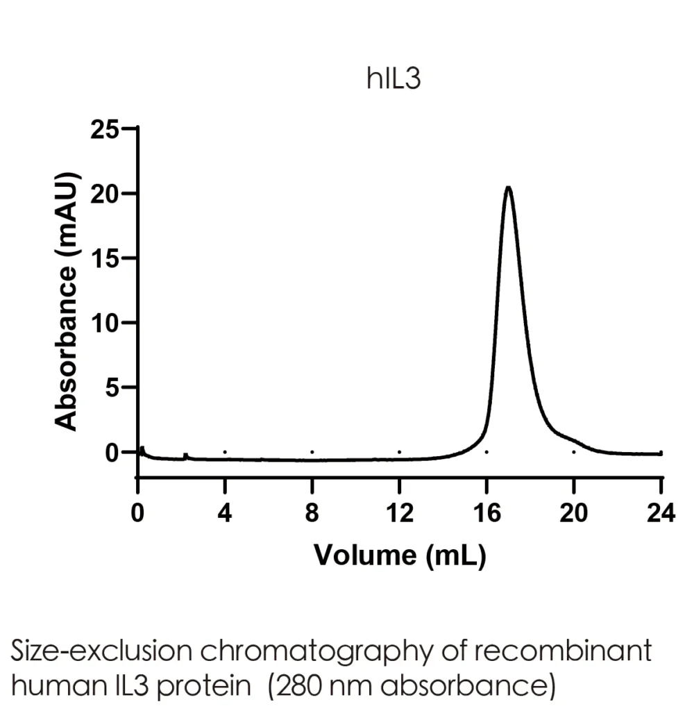Human IL3 Recombinant Protein (HEK293 Expression) — Tag Free - Image 2