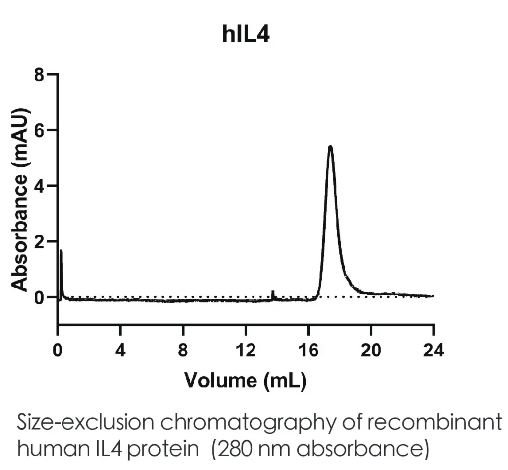 Human IL4 Recombinant Protein (HEK293 Expression) — Tag Free - Image 2