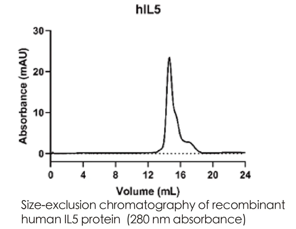 Human IL5 Recombinant Protein (HEK293 Expression) — Tag Free - Image 2