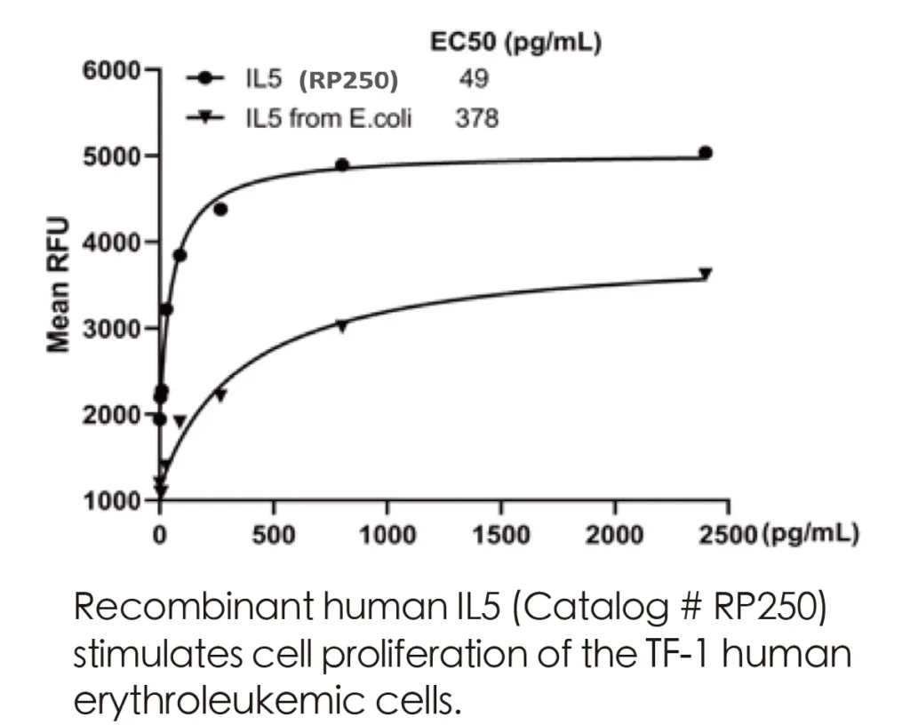 Human IL5 Recombinant Protein (HEK293 Expression) — Tag Free - Image 3