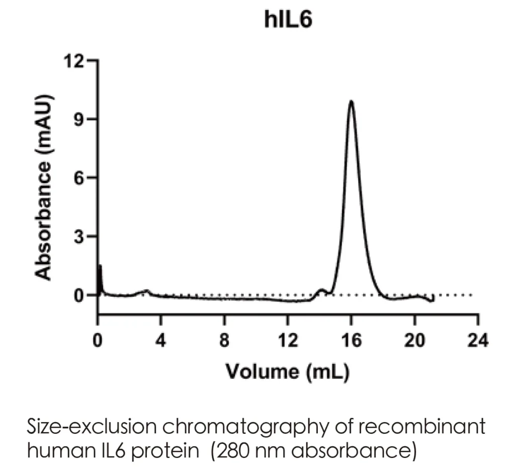 Human IL6 Recombinant Protein (HEK293 Expression) — Tag Free - Image 2