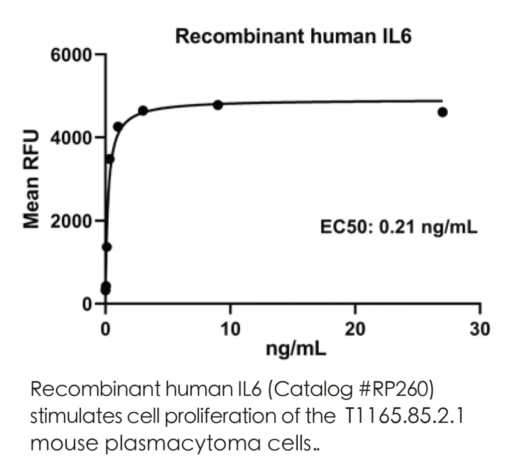 Human IL6 Recombinant Protein (HEK293 Expression) — Tag Free - Image 3