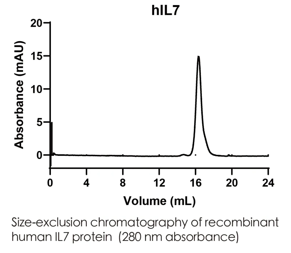 Human IL7 Recombinant Protein (HEK293 Expression) — Tag Free - Image 2