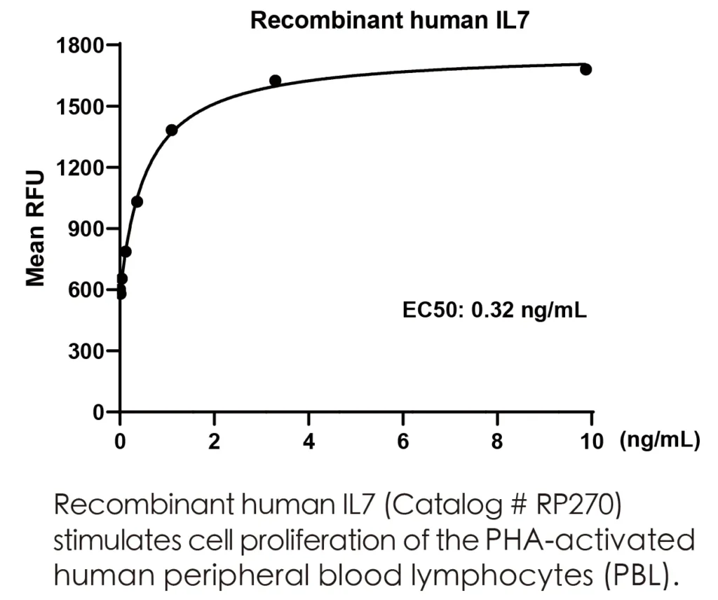 Human IL7 Recombinant Protein (HEK293 Expression) — Tag Free - Image 3