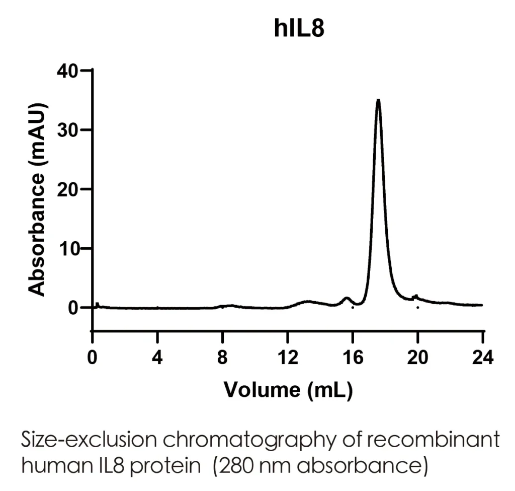 Human IL8 Recombinant Protein (HEK293 Expression) — Tag Free - Image 2