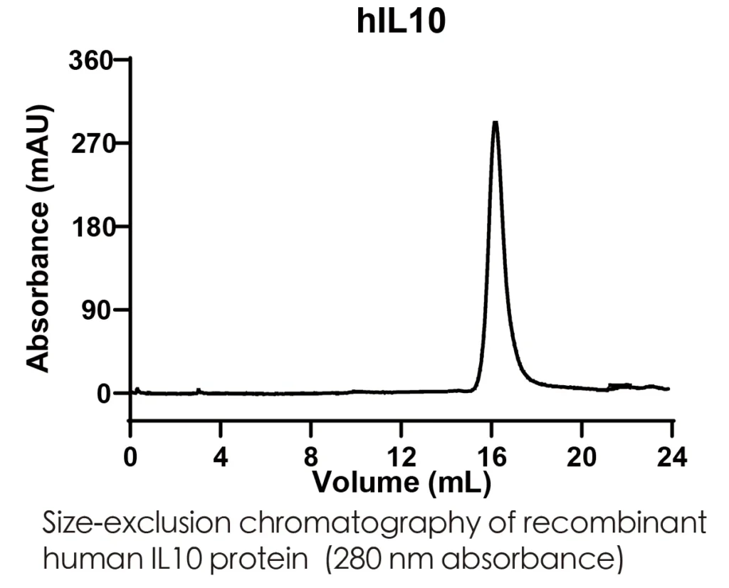 Human IL10 Recombinant Protein (HEK293 Expression) — Tag Free - Image 2