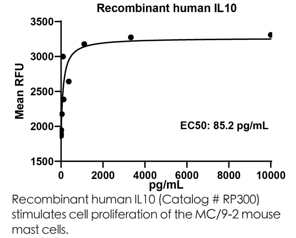 Human IL10 Recombinant Protein (HEK293 Expression) — Tag Free - Image 3