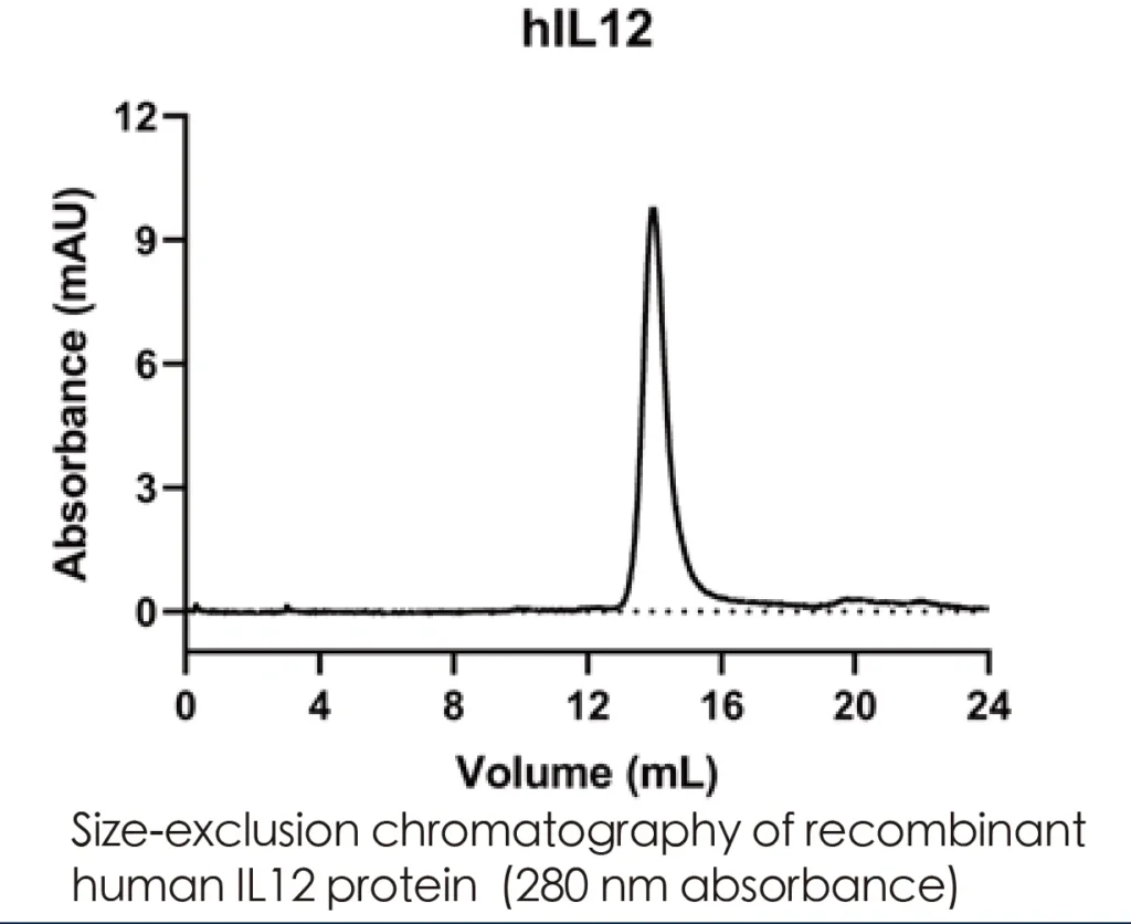 Human IL12 Recombinant Protein (HEK293 Expression) - Image 2