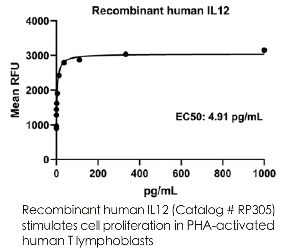 Human IL12 Recombinant Protein (HEK293 Expression) - Image 3
