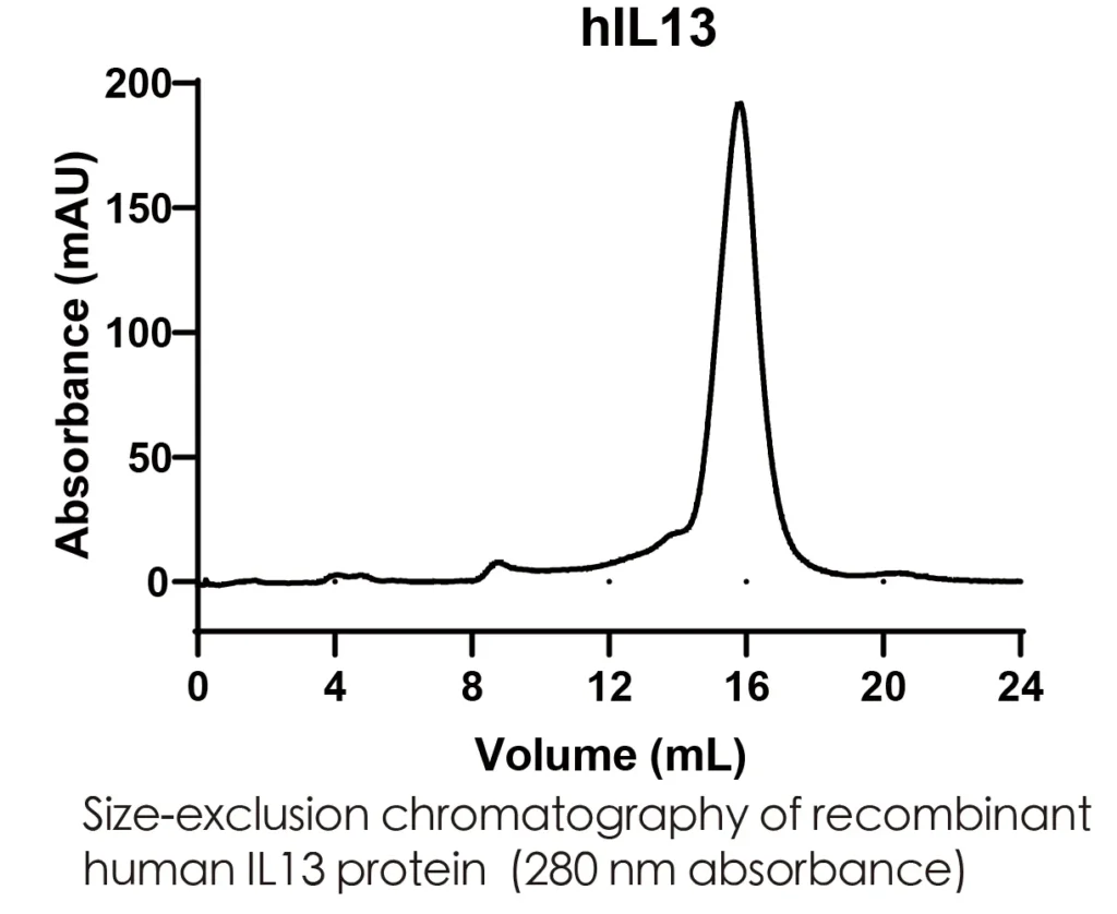 Human IL13 Recombinant Protein (HEK293 Expression) — Tag Free - Image 2