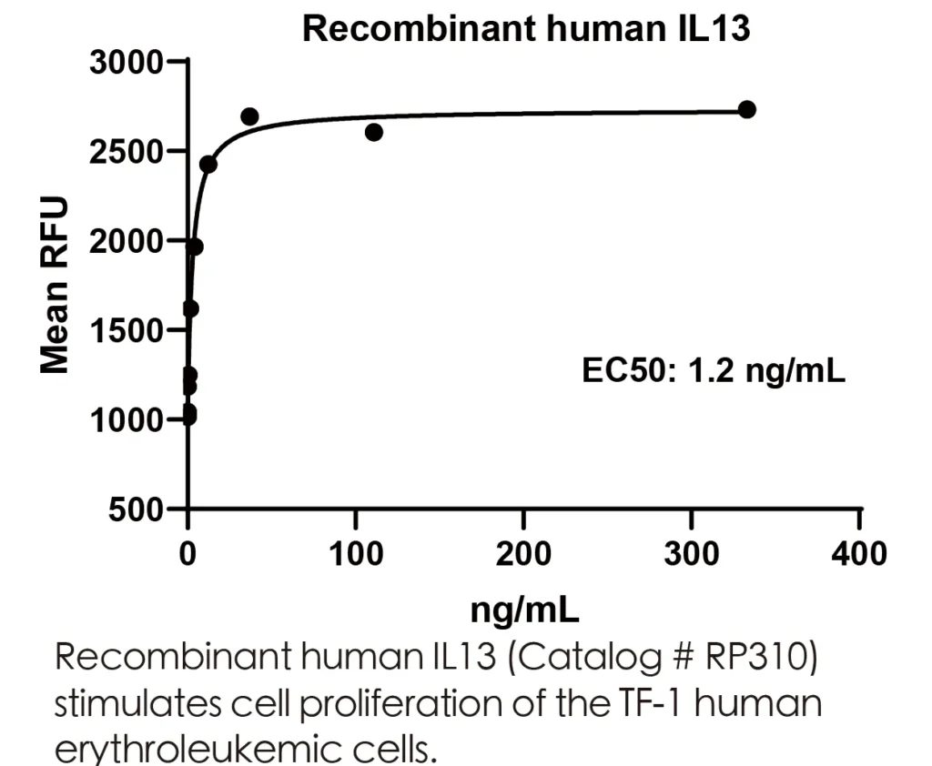 Human IL13 Recombinant Protein (HEK293 Expression) — Tag Free - Image 3