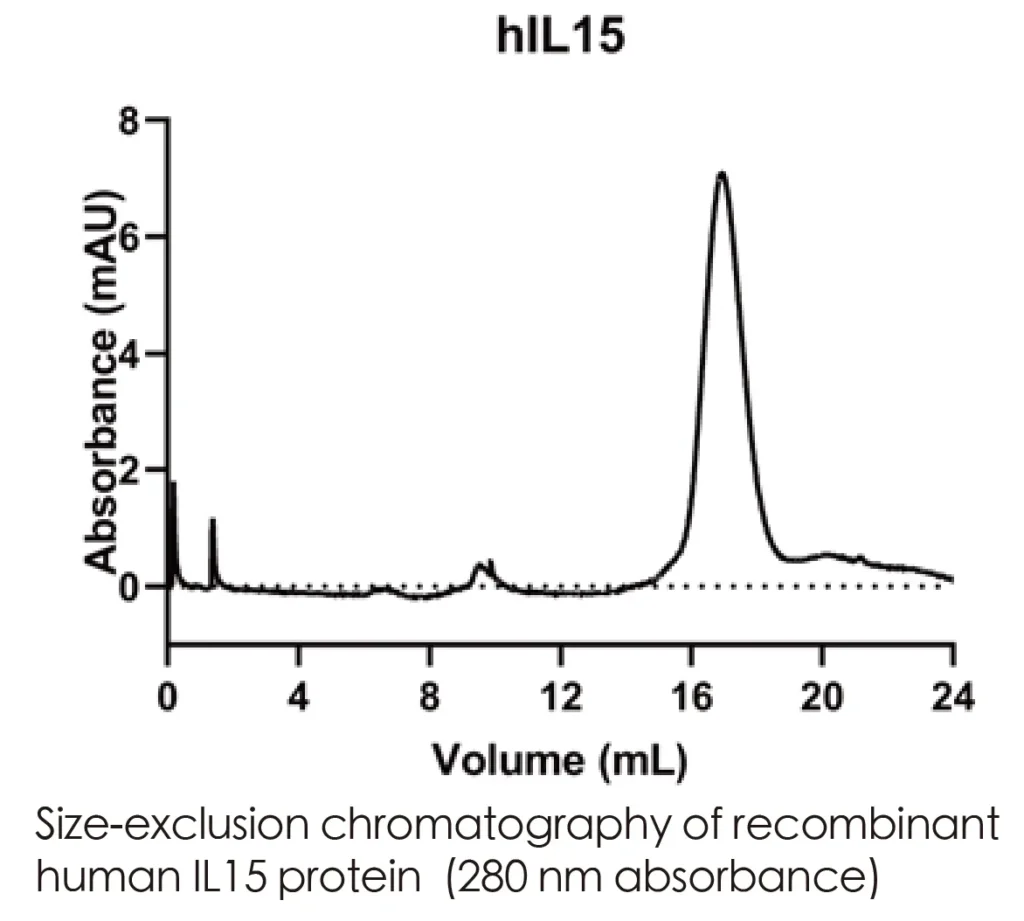 Human IL15 Recombinant Protein (HEK293 Expression) - Image 2