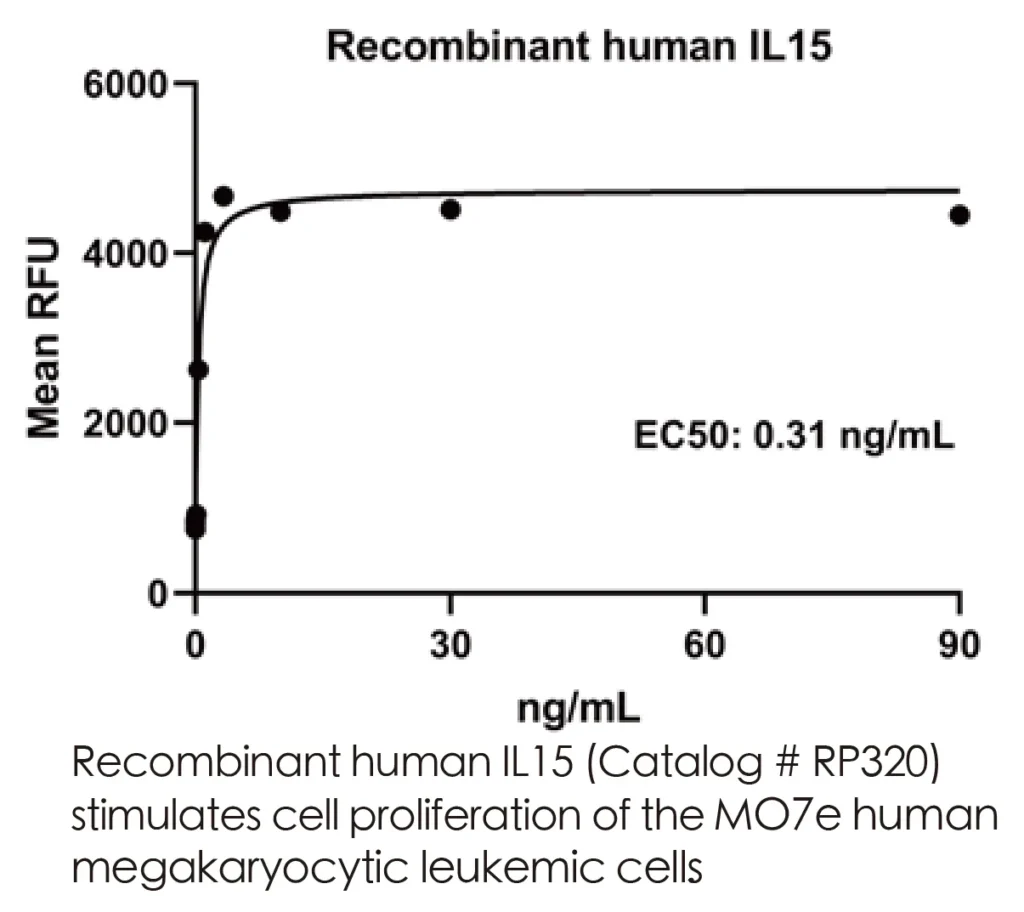 Human IL15 Recombinant Protein (HEK293 Expression) - Image 3