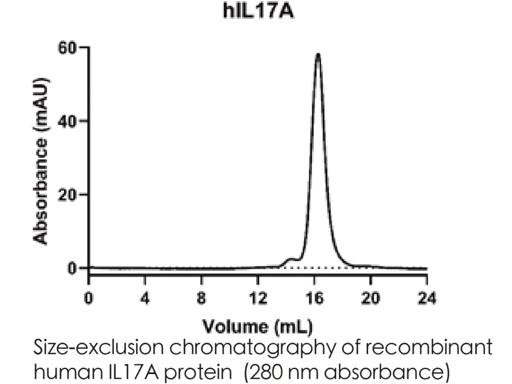 Human IL17A Recombinant Protein (HEK293 Expression) — Tag Free - Image 2