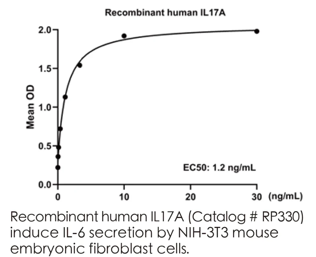 Human IL17A Recombinant Protein (HEK293 Expression) — Tag Free - Image 3