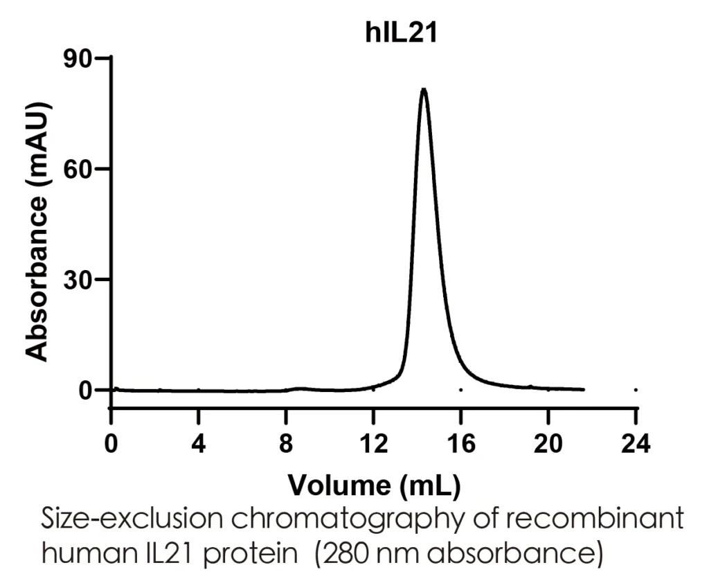 Human IL21 Recombinant Protein (HEK293 Expression) — Tag Free - Image 2