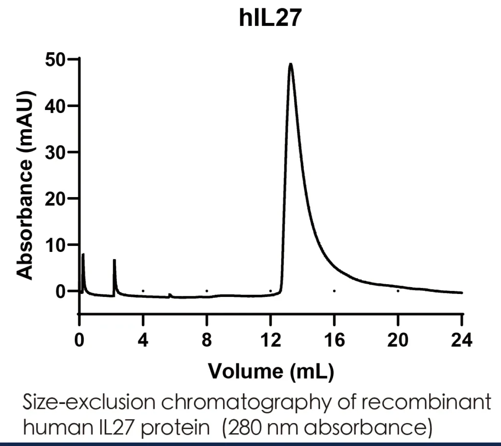 Human IL27 Recombinant Protein (HEK293 Expression) — Tag Free - Image 2