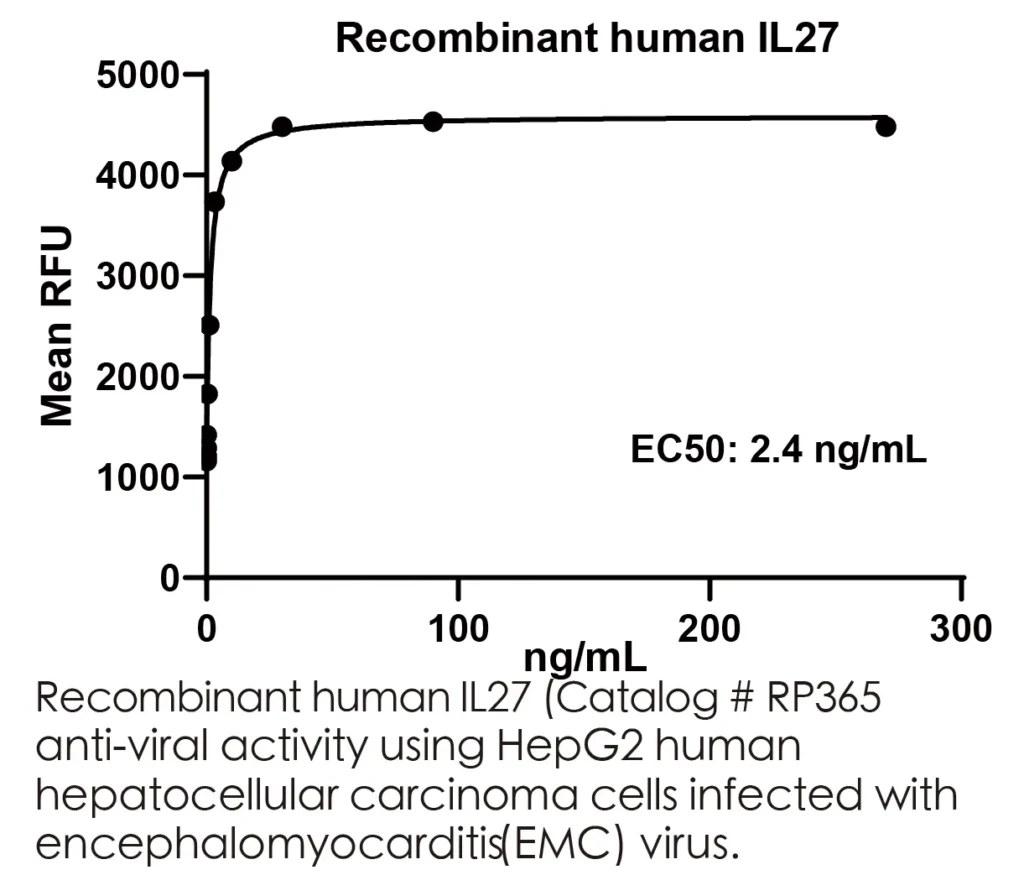 Human IL27 Recombinant Protein (HEK293 Expression) — Tag Free - Image 3