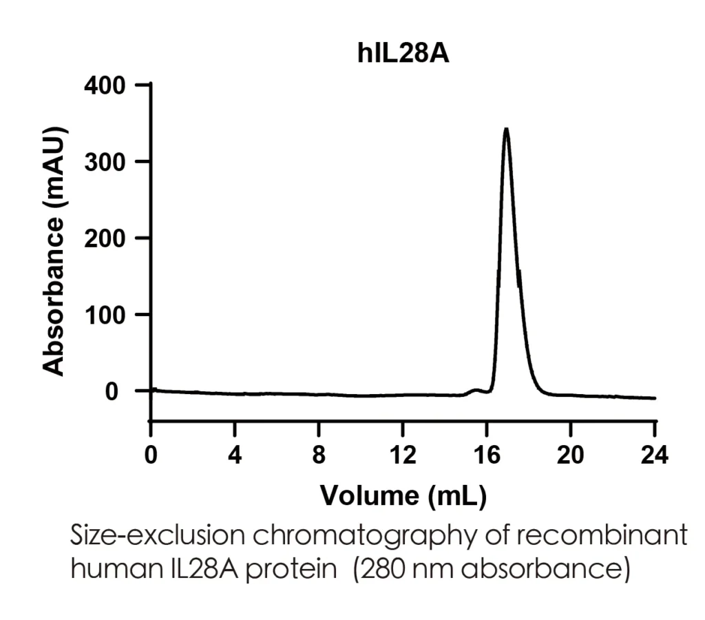 Human IL28A Recombinant Protein (HEK293 Expression) — Tag Free - Image 2