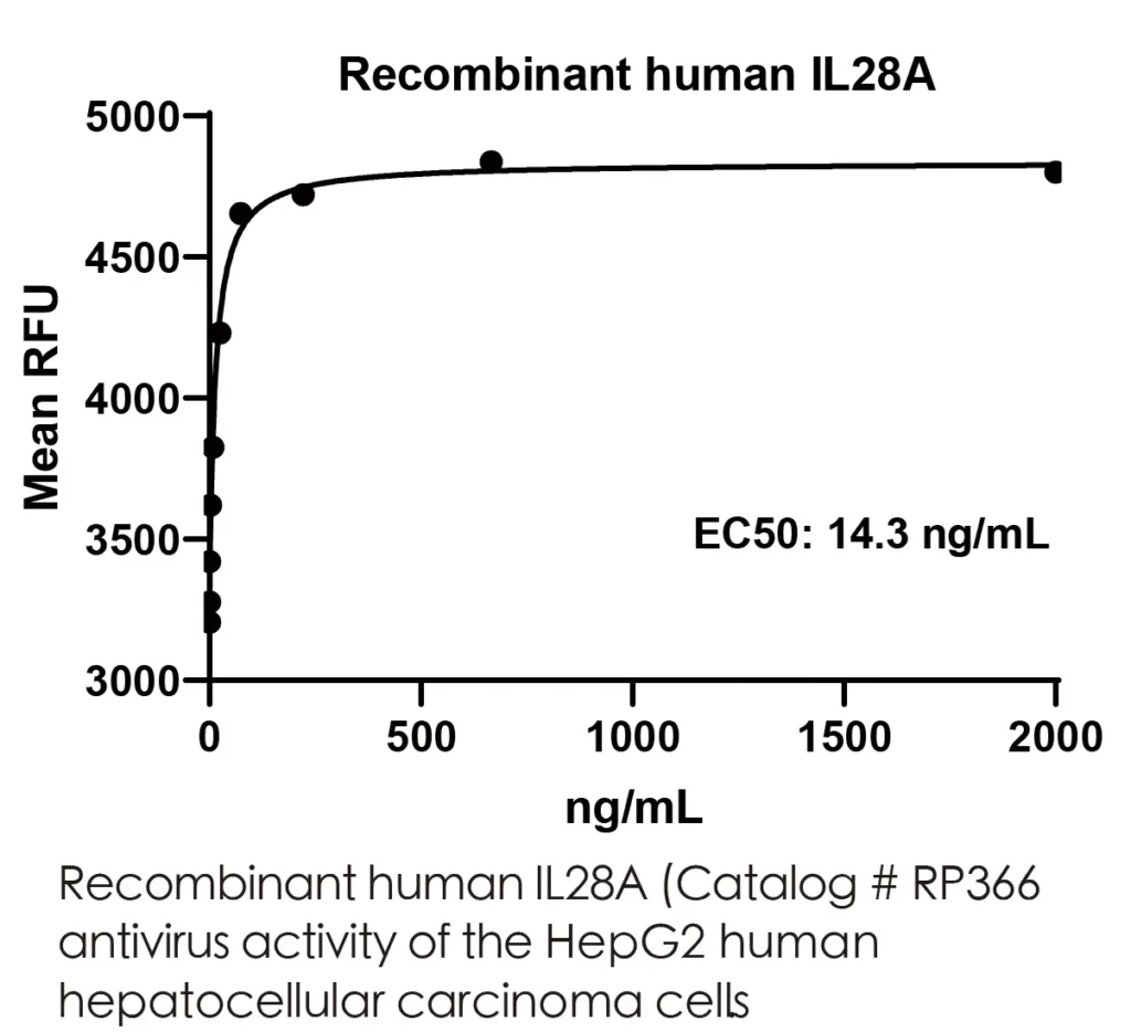 Human IL28A Recombinant Protein (HEK293 Expression) — Tag Free - Image 3