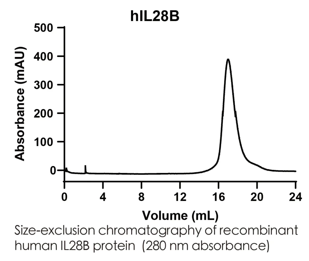 Human IL28B Recombinant Protein (HEK293 Expression) — Tag Free - Image 2