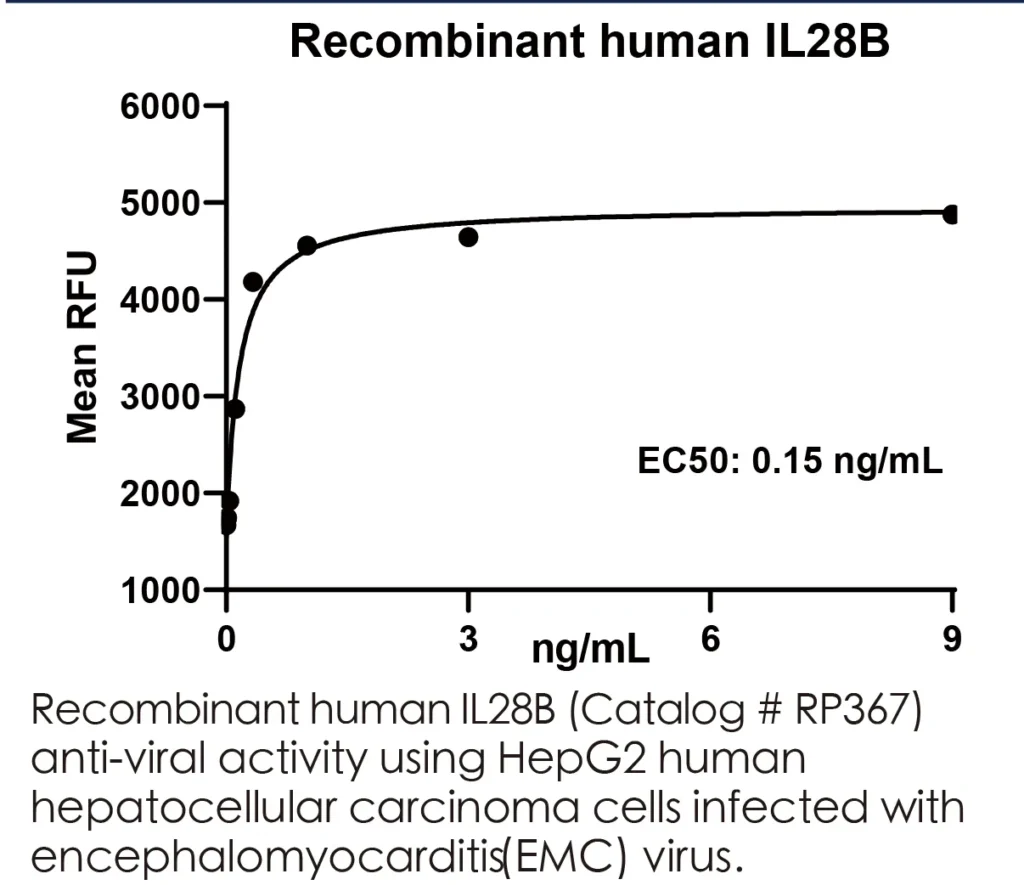 Human IL28B Recombinant Protein (HEK293 Expression) — Tag Free - Image 3