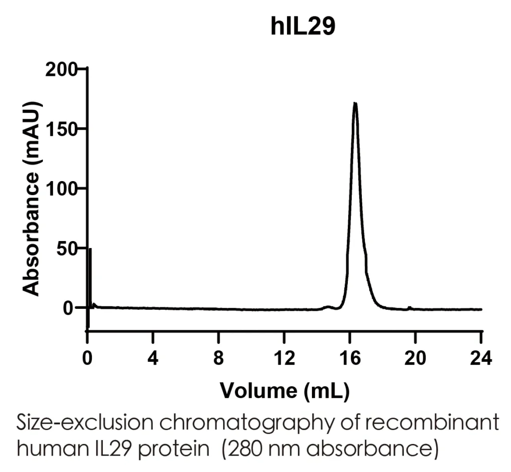 Human IL29 Recombinant Protein (HEK293 Expression) — Tag Free - Image 2