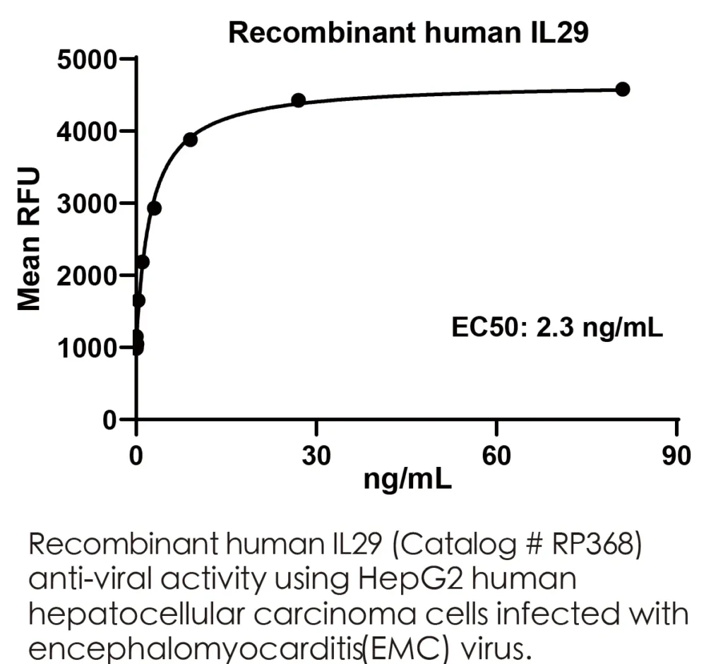 Human IL29 Recombinant Protein (HEK293 Expression) — Tag Free - Image 3