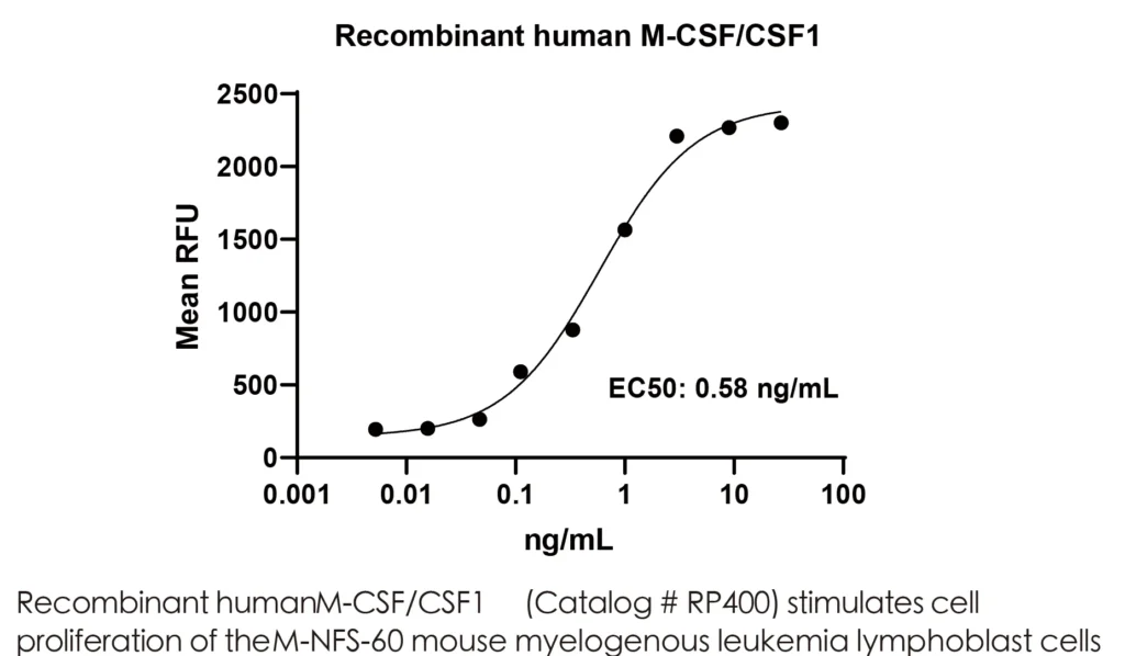 Human M-CSF Recombinant Protein (HEK293 Expression) - Image 2