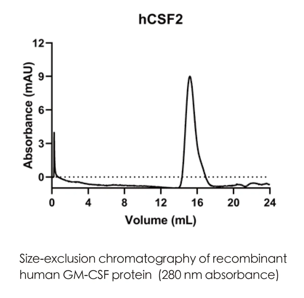 Human CSF2 Recombinant Protein (HEK293 Expression) — Tag Free - Image 2