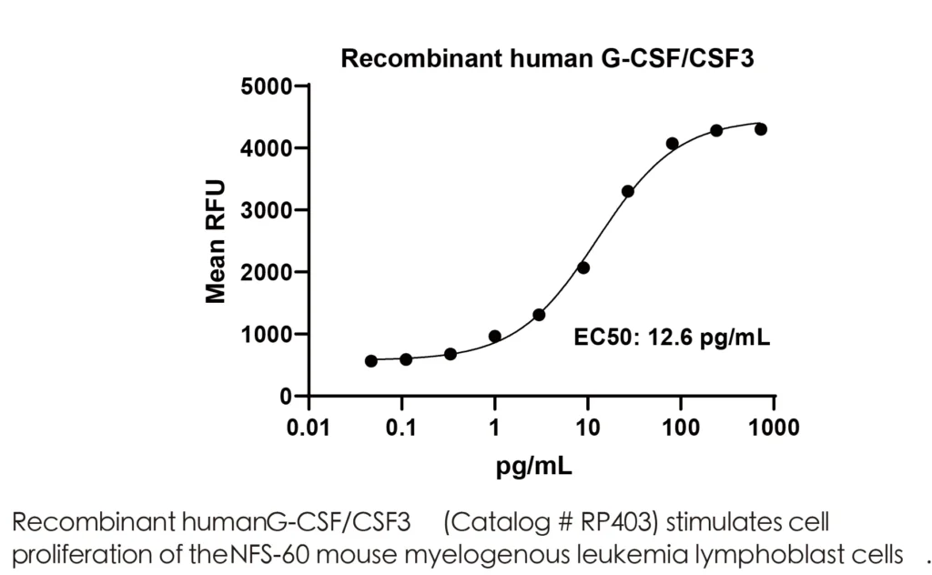 Human CSF3 Recombinant Protein (HEK293 Expression) — Tag Free - Image 2