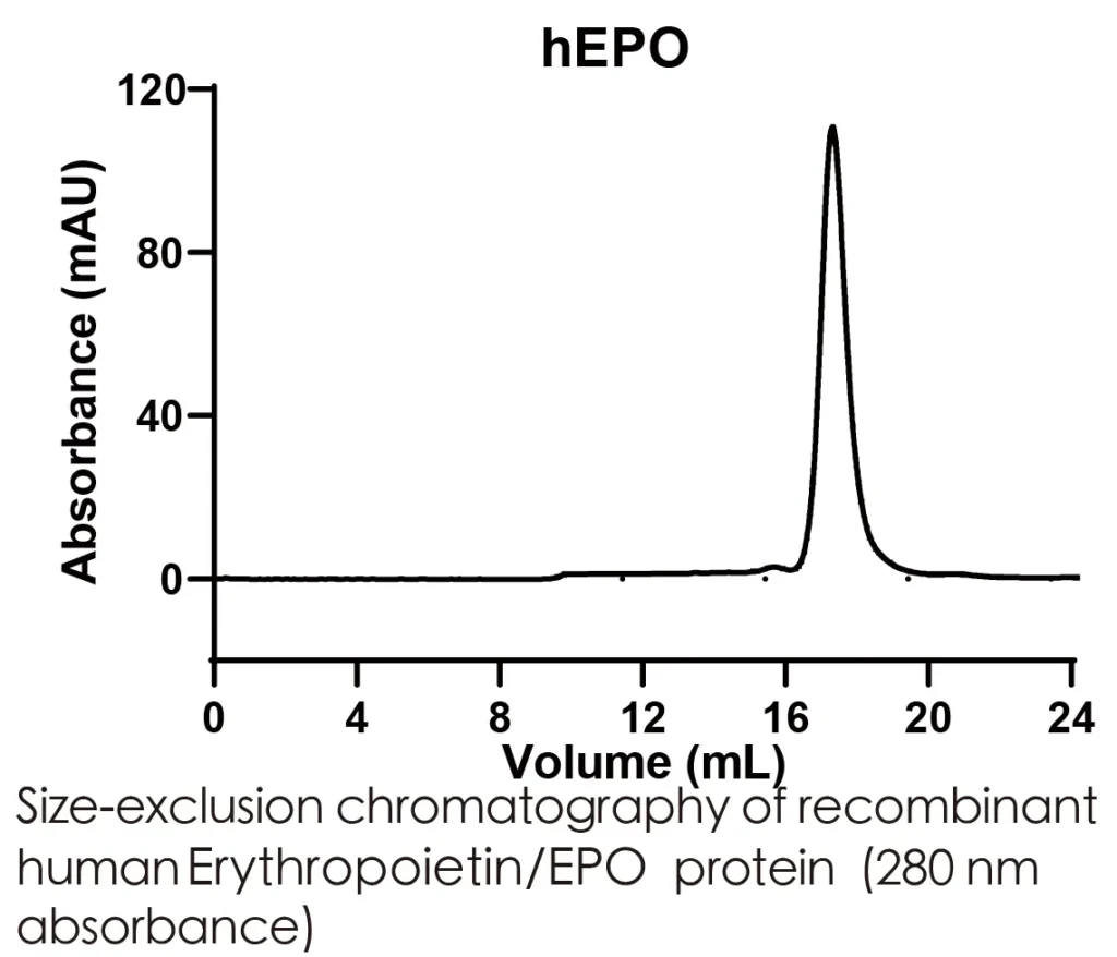 Human EPO Recombinant Protein (HEK293 Expression) — Tag Free - Image 2