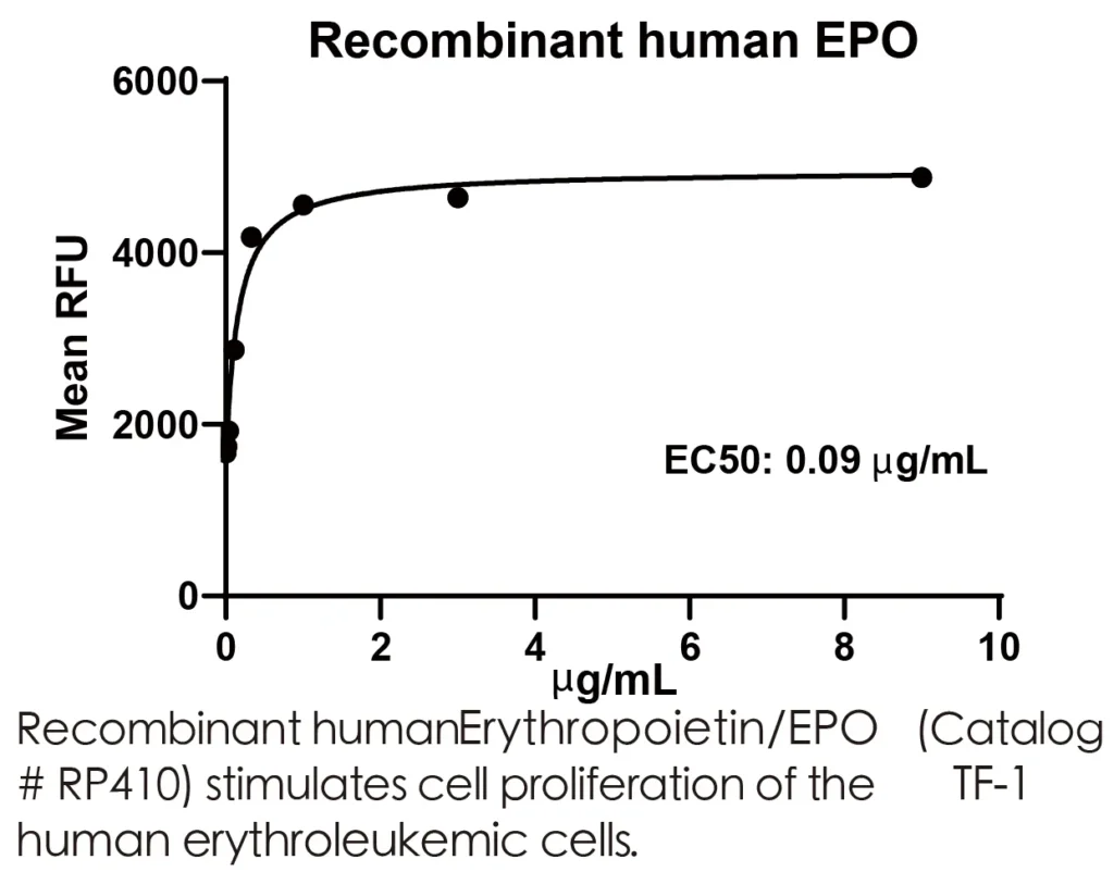 Human EPO Recombinant Protein (HEK293 Expression) — Tag Free - Image 3