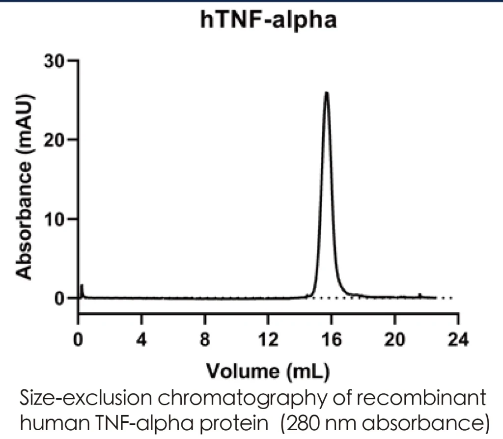 Human TNFa Recombinant Protein (HEK293 Expression) — Tag Free - Image 2