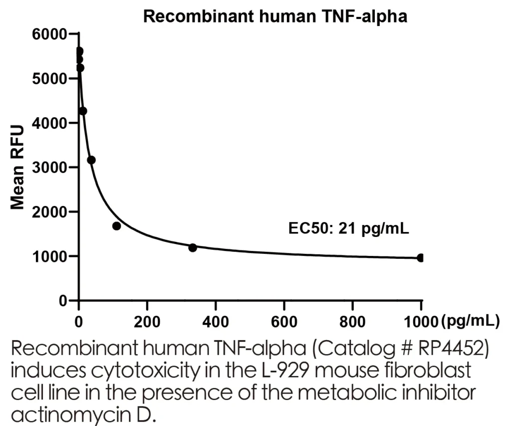 Human TNFa Recombinant Protein (HEK293 Expression) — Tag Free - Image 3