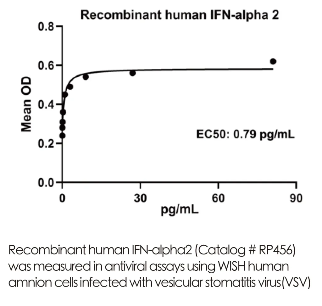 Human IFNA2 Recombinant Protein (HEK293 Expression) — Tag Free - Image 3