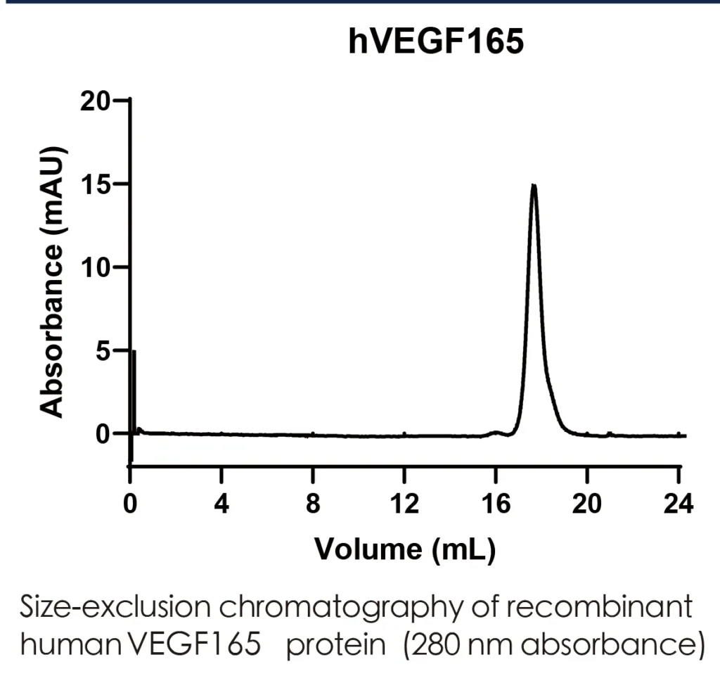 Human VEGFA Recombinant Protein (HEK293 Expression) — Tag Free - Image 2