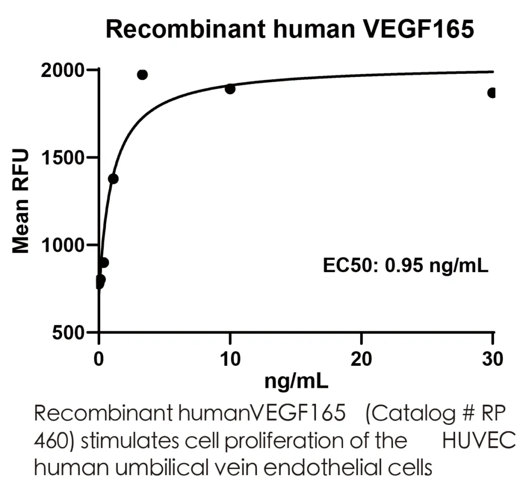 Human VEGFA Recombinant Protein (HEK293 Expression) — Tag Free - Image 3