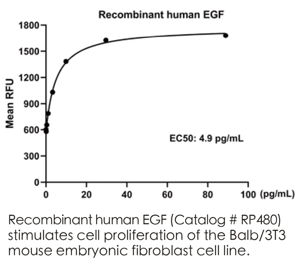Human EGF Recombinant Protein (HEK293 Expression) — Tag Free - Image 3