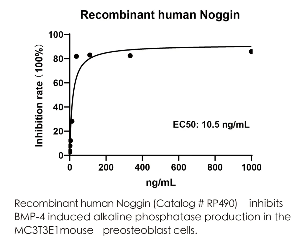 Human Noggin Recombinant Protein (HEK293 Expression) — Tag Free - Image 2