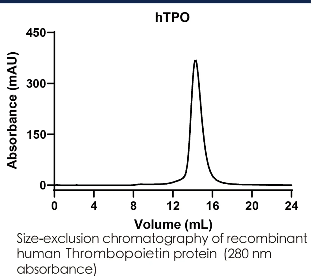 Human TPO Recombinant Protein (HEK293 Expression) — Tag Free - Image 2