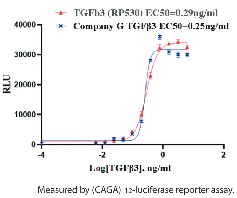 Human TGFb3 Recombinant Protein (HEK293 Expression) — Tag Free - Image 2