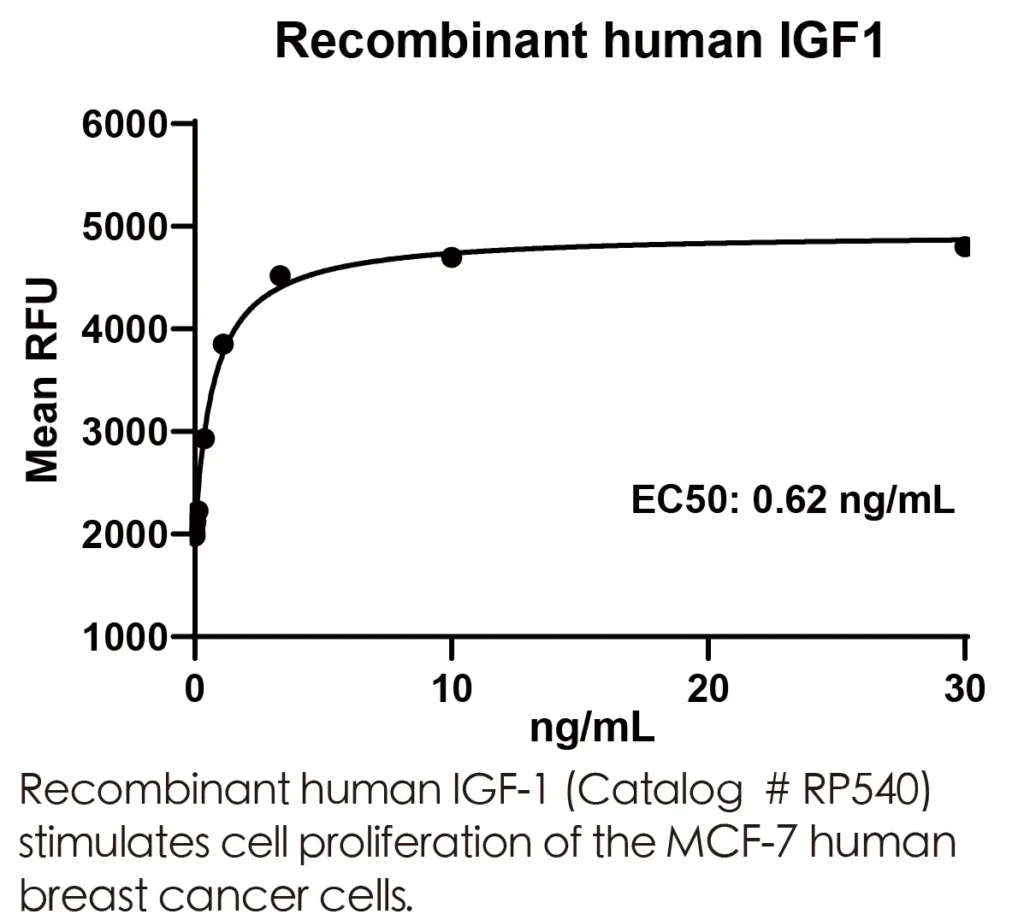Human IGF1 Recombinant Protein (HEK293 Expression) — Tag Free - Image 3