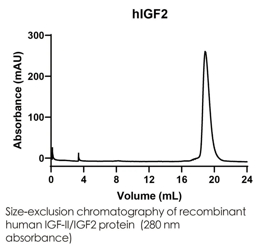 Human IGF2 Recombinant Protein (HEK293 Expression) — Tag Free - Image 2