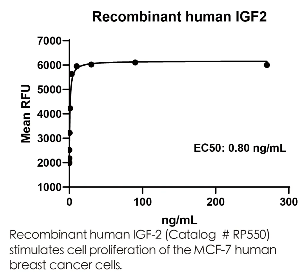 Human IGF2 Recombinant Protein (HEK293 Expression) — Tag Free - Image 3