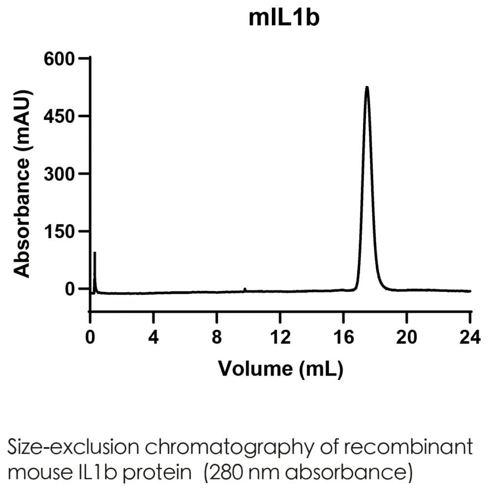 Mouse IL1b Recombinant Protein (HEK293 Expression) — Tag Free - Image 2